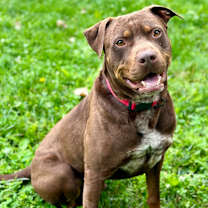 Thumbnail photo of Mark #1