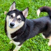 Thumbnail photo of Maleficent #2