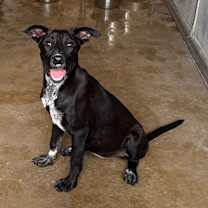 Thumbnail photo of Danielle #1