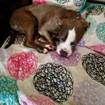 Thumbnail photo of Mojito #4