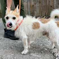 Thumbnail photo of Monty DD #3