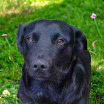 Thumbnail photo of Jack Black #1