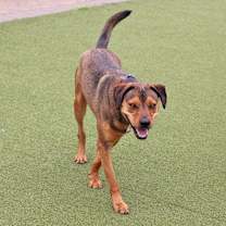 Thumbnail photo of Randy #4