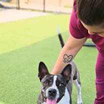 Thumbnail photo of Athena #1