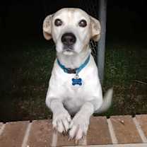 Thumbnail photo of Clardy #2