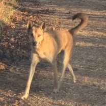 Thumbnail photo of Diego #4