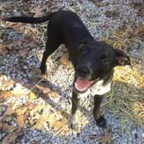 Thumbnail photo of Buford #1