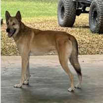 Thumbnail photo of Diego #1