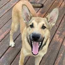 Thumbnail photo of Diego #2