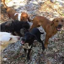 Thumbnail photo of Buford #4