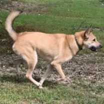 Thumbnail photo of Diego #3