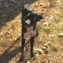 Thumbnail photo of Buford #3