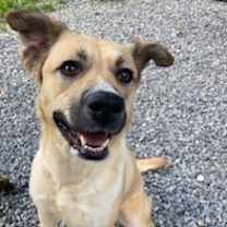 Thumbnail photo of Summer #1