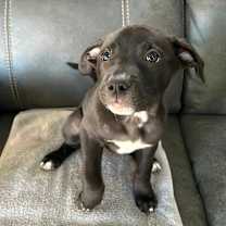 Thumbnail photo of Clover #3