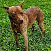 Thumbnail photo of SUNNY #1