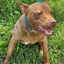 Thumbnail photo of SUNNY #3