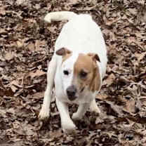 Thumbnail photo of Colleen #2