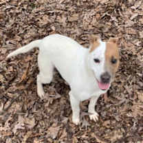 Thumbnail photo of Colleen #4