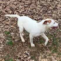 Thumbnail photo of Colleen #3