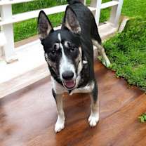 Thumbnail photo of Titanium #3