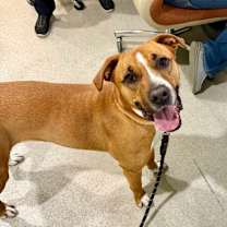 Thumbnail photo of Rayne #1