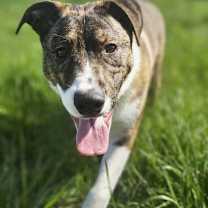 Thumbnail photo of Spud #3