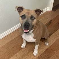 Thumbnail photo of Murphy #2