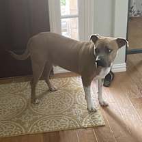 Thumbnail photo of Murphy #3