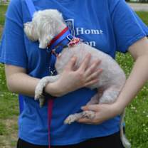 Thumbnail photo of Ivory (bonded w/Ebony) #2