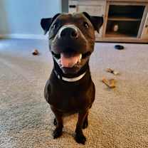 Thumbnail photo of San Jose #2