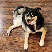 Thumbnail photo of Juniper #2