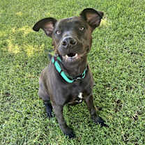 Thumbnail photo of Arlo #4