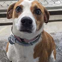 Thumbnail photo of Edie #2