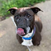 Thumbnail photo of Finn #1