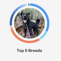 Thumbnail photo of Trent #4