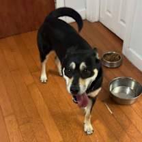 Thumbnail photo of Malika #1