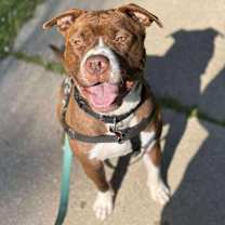 Thumbnail photo of Jortek #2