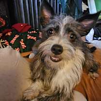 Thumbnail photo of Simon #2