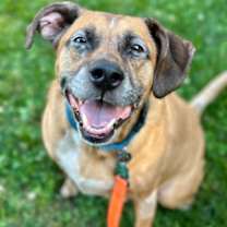 Thumbnail photo of Perry #1