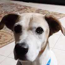 Thumbnail photo of Clardy #3