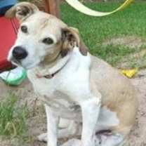 Thumbnail photo of Clardy #1