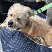 Thumbnail photo of ROCKET #3