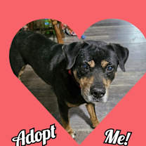 Thumbnail photo of Maive #3