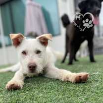 Thumbnail photo of Rody #4