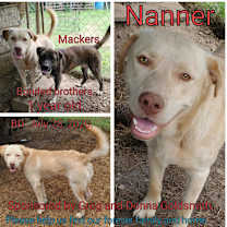 Thumbnail photo of Nanner #2