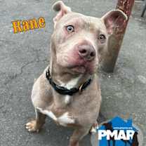 Thumbnail photo of Kane #2