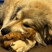 Thumbnail photo of Hero #1