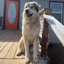 Thumbnail photo of Hero #2