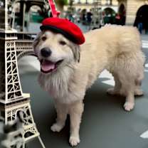 Thumbnail photo of Hero #3