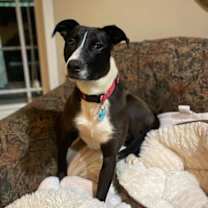 Thumbnail photo of Lila Dixon #1